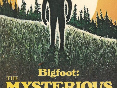 Bigfoot: The Mysterious Monster Fashion