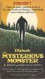 Bigfoot: The Mysterious Monster Fashion