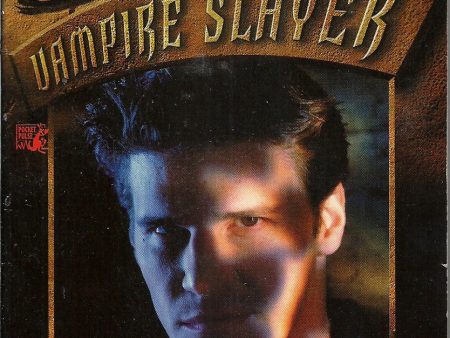 Buffy the Vampire Slayer The Angel Chronicles Vol 3 Online